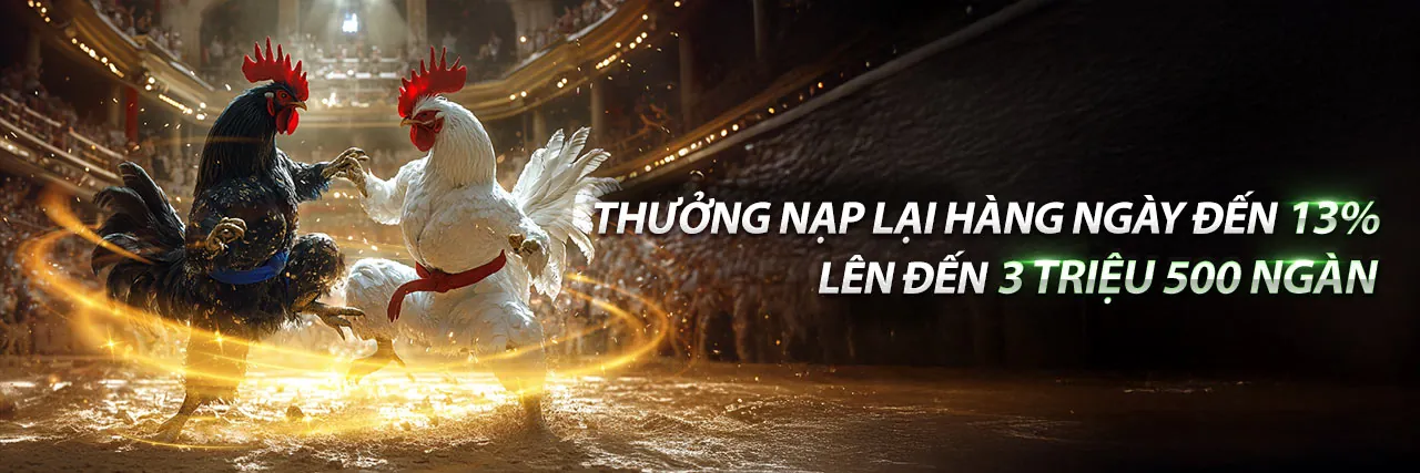 Cá cược thể thao đỉnh cao tại KC88